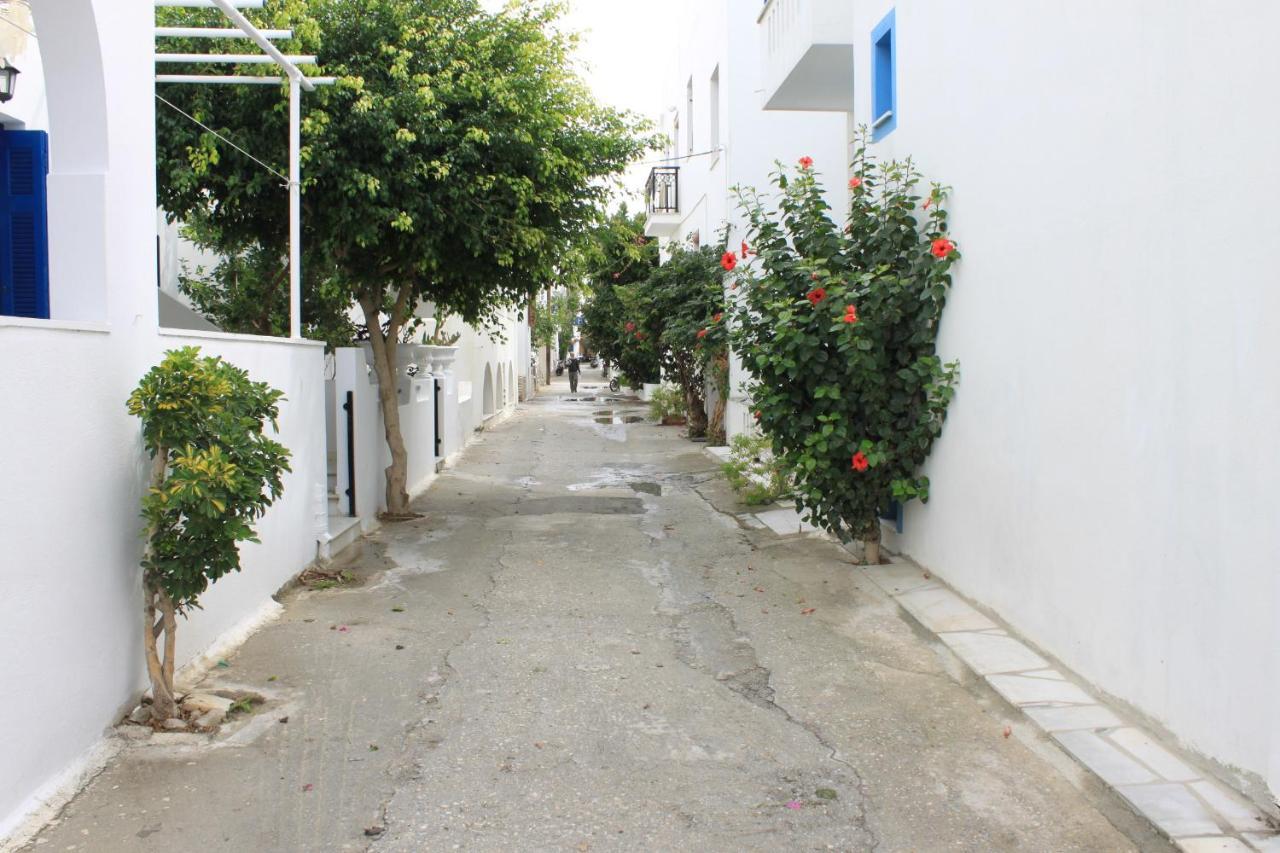 Vasilikos Studios Naxos City Exteriör bild